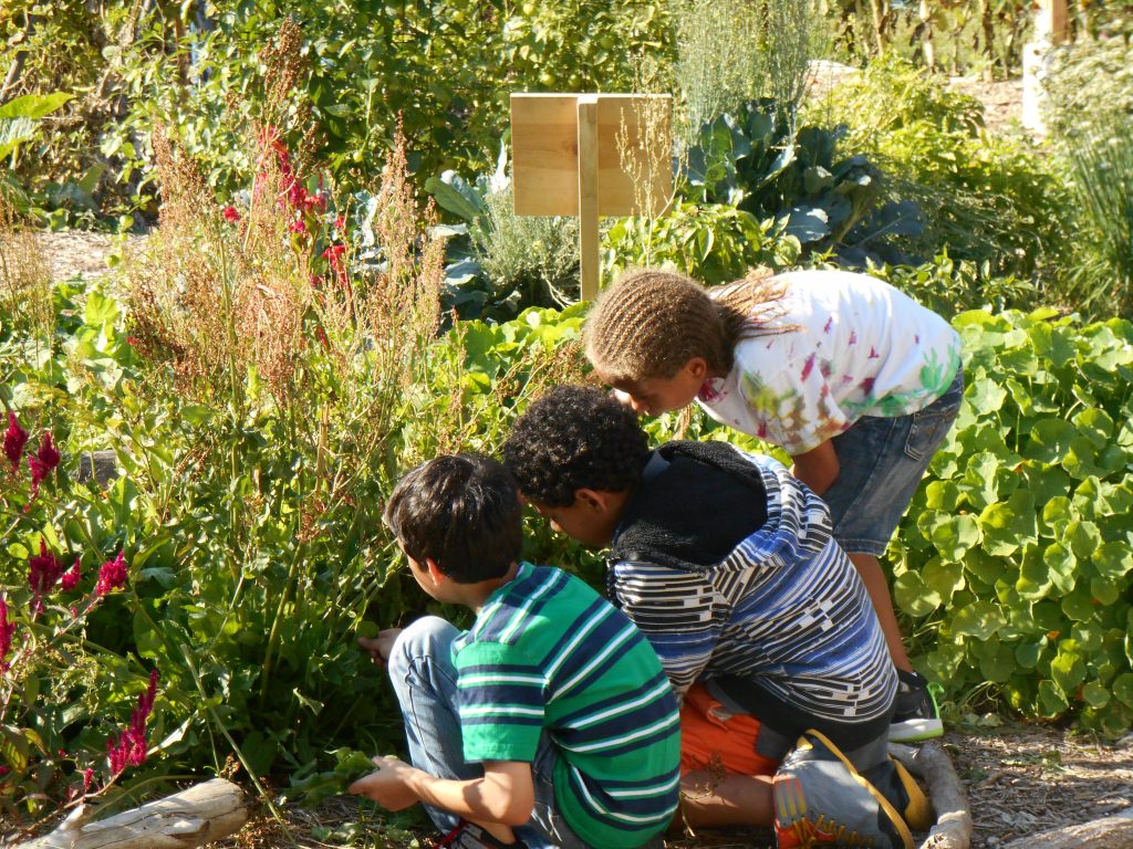 Games Gardening Wholistic Learning Resources